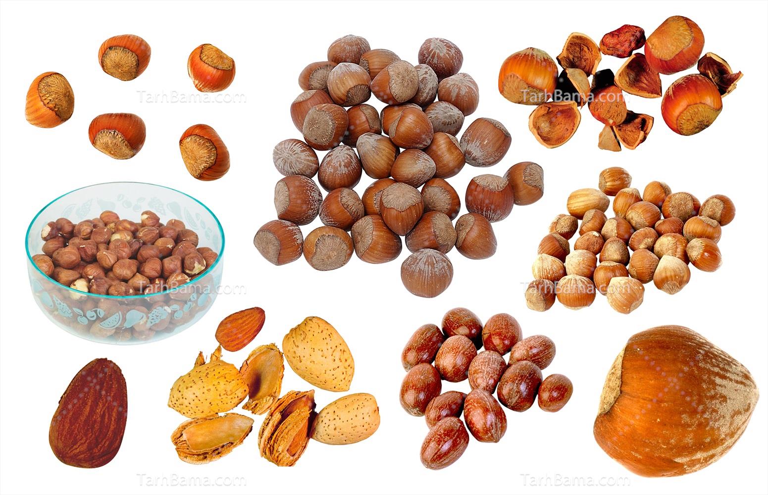 تصاویر آجیل و خشکبار